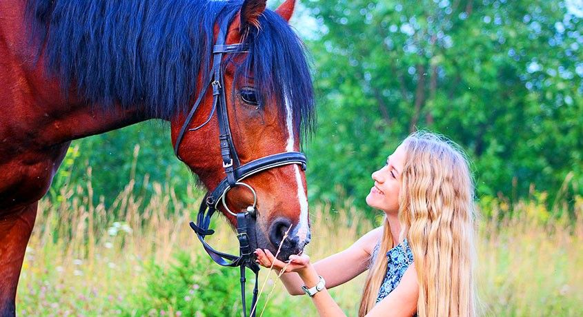 Конная терапия! Конная фотосессия, свадебная фотосессия, занятия с тренером или катание верхом на лошади до 58%.