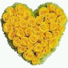 Букет – сердце из желтых роз 