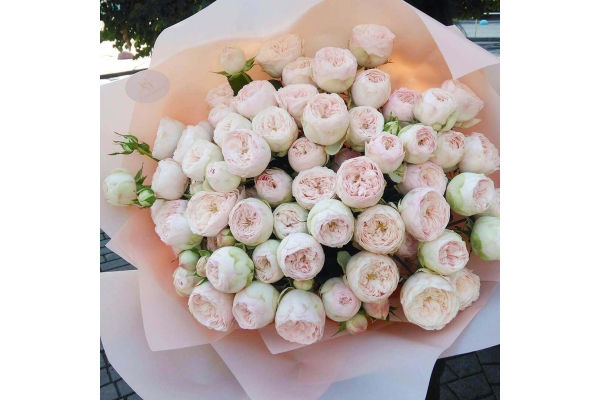 Букет цветов (41 пионовидная роза)