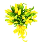  25 желтых тюльпанов