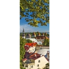 Рулонная штора Таллин