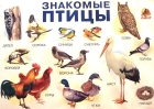 Плакат Знакомые птицы