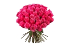 Розовая роза 70 см