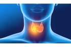 Исцеление заболеваний щитовидной железы
