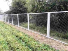 Забор из сетки рабицы  в рамке  1,5 м