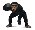 Шимпанзе самец 88492 b