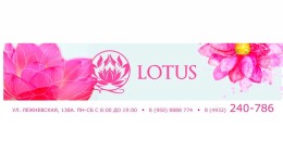 Салон цветов «LOTUS»