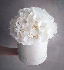 Цветы в коробке «Белая гортензия»
