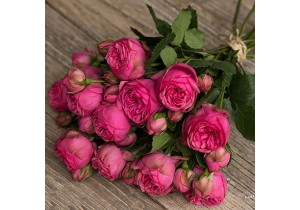 Букет цветов (11 пионовидных розовых роз)