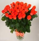 Оранжевые розы 