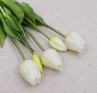 Тюльпаны букет белый