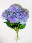 Гортензия, куст (5 соцветий) сиренево-голубой