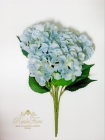 Гортензия, куст (5 соцветий) светло-голубой