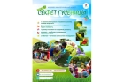 Проведение научно-экологического квеста для детей «Секрет гусеницы» 