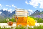 Алтайский горный мед 