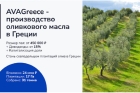 Купить бизнес в Греции. Производство оливкового масла.