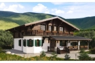 Проект австрийского дома