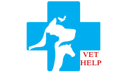 Ветеринарная помощь на дому в Иваново