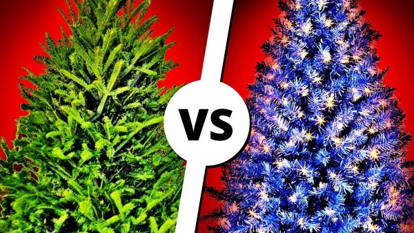 Какая елка лучше: живая  или искусственная?
